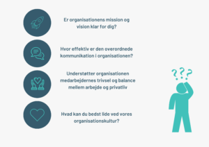 17 spørgsmål til kulturanalyse