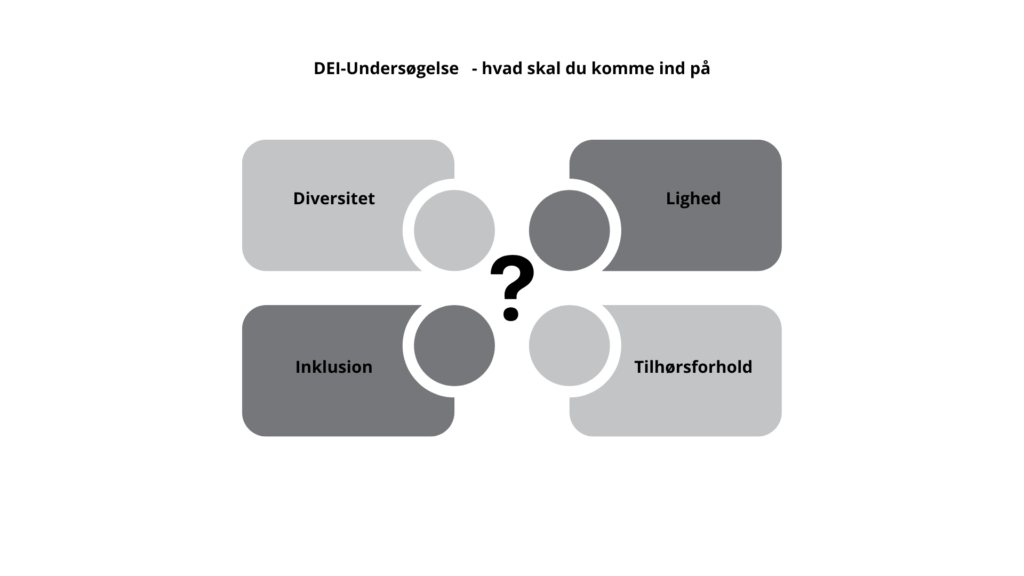 17 Spørgsmål til DEI-undersøgelse